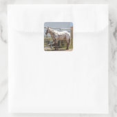 Bruin gevlekt Appaloosa paard Vierkante Sticker (Tas)