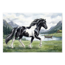 Bruin gevlekt IJslands paard
