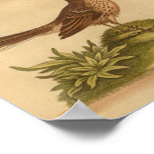  bruin gevlekte gevlekte buikvlies poster (Hoek)