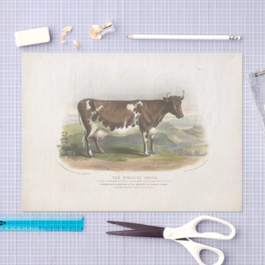 Bruin gevlekte Koe Ephemera Decoupage  Boerderij Tissuepapier (Craft)