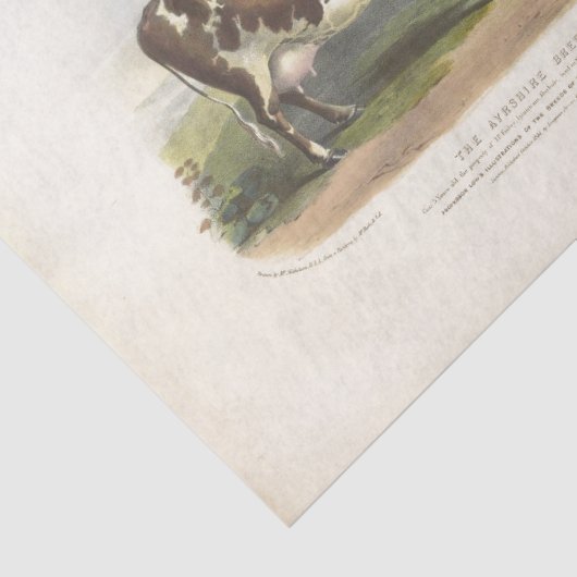 Bruin gevlekte Koe Ephemera Decoupage  Boerderij Tissuepapier (Detail)