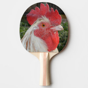 Bruin gevlekte roosterkant, tafeltennisbatje