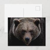 Bruin Grizzly Beer Briefkaart (Voorkant / Achterkant)