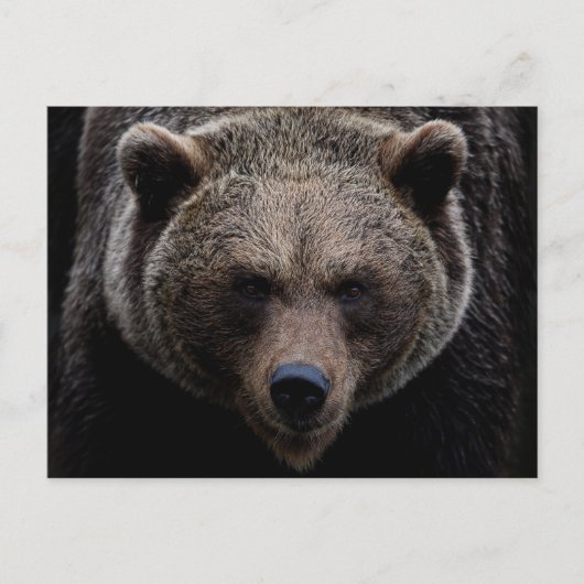 Bruin Grizzly Beer Briefkaart (Voorkant)