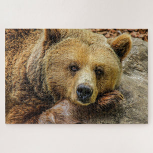 Bruin grizzly beer foto legpuzzel