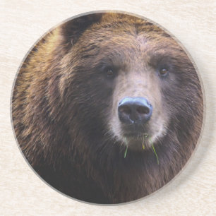 Bruin Grizzly Beer Zandsteen Onderzetter