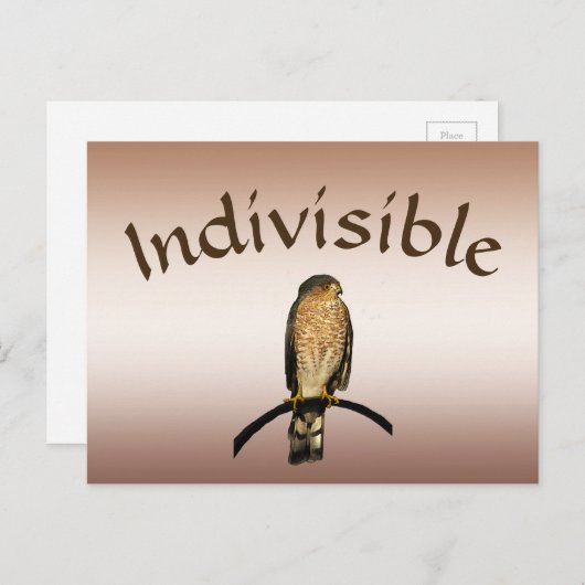 Bruin Hawk Indivisible Briefkaart (Voorkant / Achterkant)