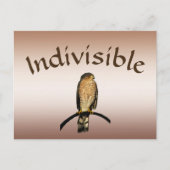 Bruin Hawk Indivisible Briefkaart (Voorkant)