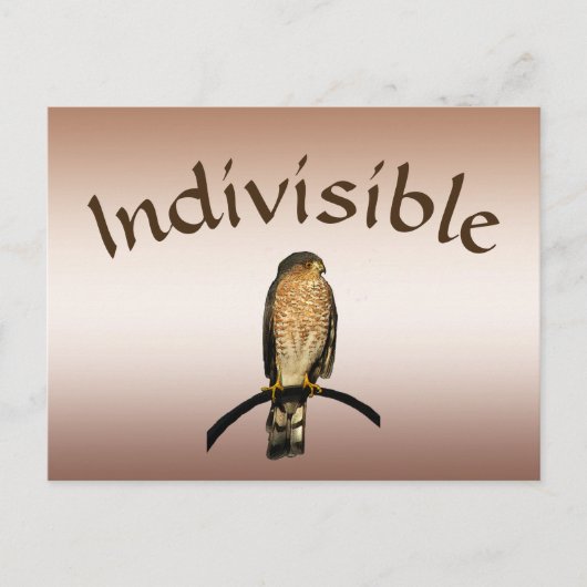 Bruin Hawk Indivisible Briefkaart (Voorkant)