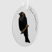 Bruin-Headed Cowbird Ornament (voorkant)