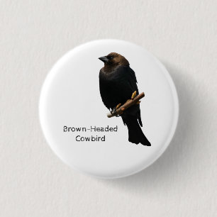 Bruin-Headed Cowbird Ronde Button 3,2 Cm