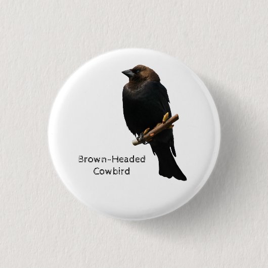 Bruin-Headed Cowbird Ronde Button 3,2 Cm (Voorkant)