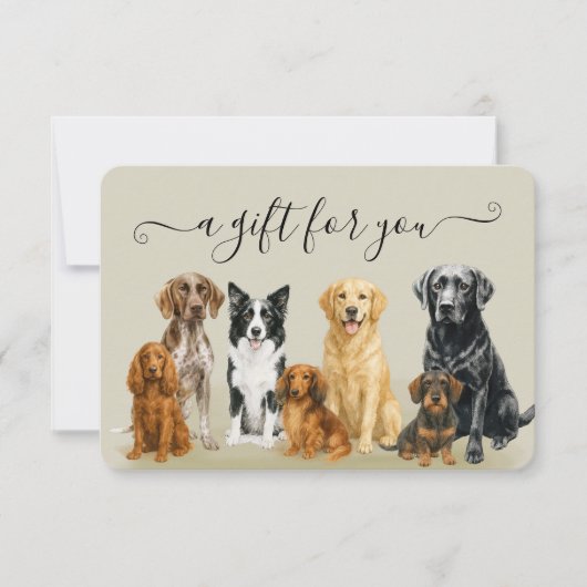 Bruin Hond Grooming Huisdier Vet Boarding Certific (Voorkant)