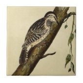 Bruin-hoornCreeper Tegeltje (Voorkant)