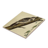 Bruin-hoornCreeper Tegeltje (Zijkant)