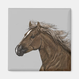 Bruin Horse Head Magnet