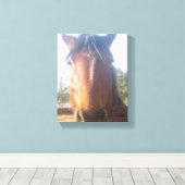 Bruin Horsey Liefde Canvas Afdruk (Insitu (Houten vloer))