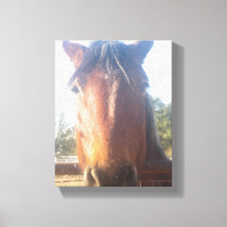 Bruin Horsey Liefde Canvas Afdruk