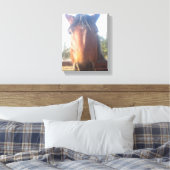 Bruin Horsey Liefde Canvas Afdruk (Insitu (Slaapkamer))