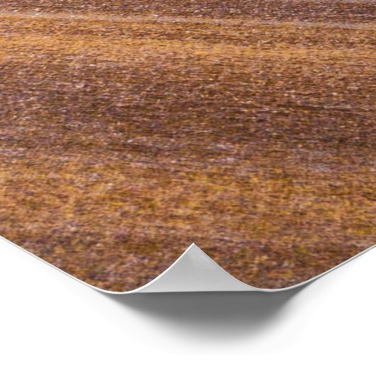 Bruin houten oppervlak poster (Hoek)