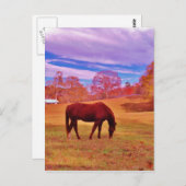 > Bruin in een droomkleurig veld Briefkaart (Voorkant / Achterkant)