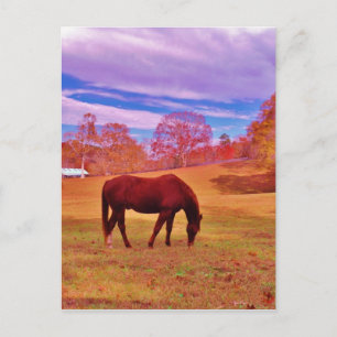 > Bruin in een droomkleurig veld Briefkaart