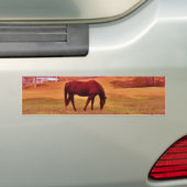 > Bruin in een droomkleurig veld Bumpersticker (Op auto)