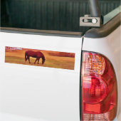 > Bruin in een droomkleurig veld Bumpersticker (Op Truck)