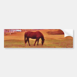 > Bruin in een droomkleurig veld Bumpersticker