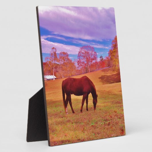 > Bruin in een droomkleurig veld Fotoplaat (Zijkant)