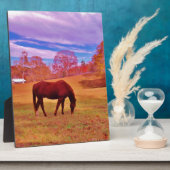 > Bruin in een droomkleurig veld Fotoplaat (Zijkant)