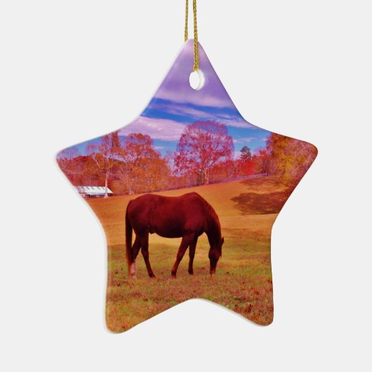 > Bruin in een droomkleurig veld Keramisch Ornament (Rechts)