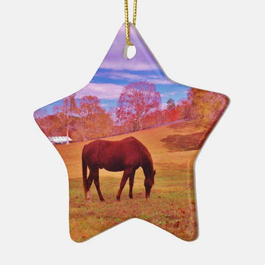 > Bruin in een droomkleurig veld Keramisch Ornament (Links)