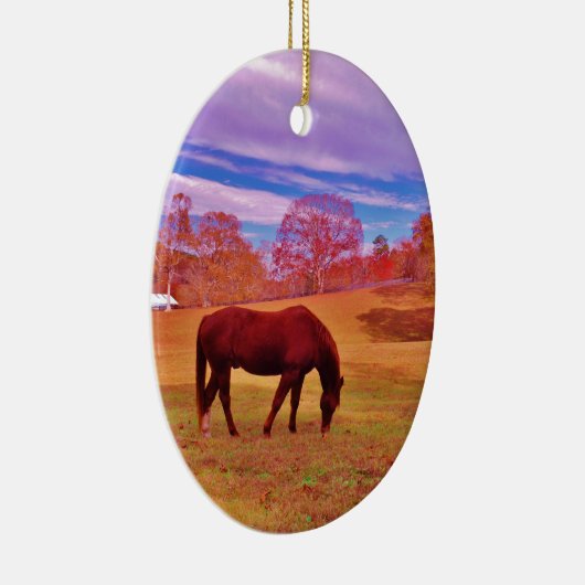 > Bruin in een droomkleurig veld Keramisch Ornament (Rechts)