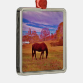 > Bruin in een droomkleurig veld Metalen Ornament (Rechts)