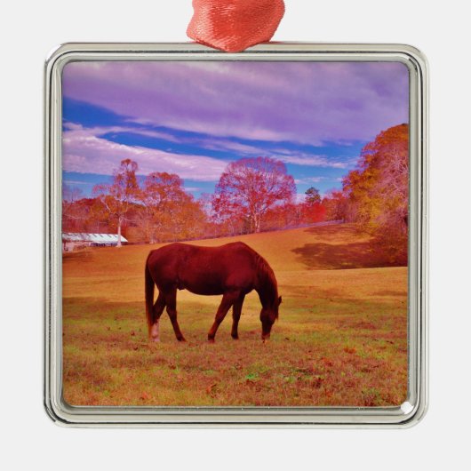 > Bruin in een droomkleurig veld Metalen Ornament (Voorkant)