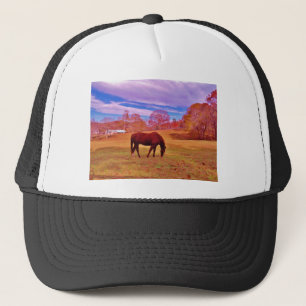 > Bruin in een droomkleurig veld Trucker Pet