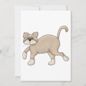 Bruin kattenwandelaars kaart (Voorkant)