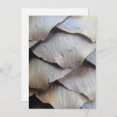 Bruin kegelvormig patroon (Voorkant / Achterkant)