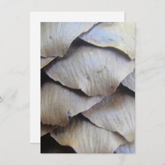 Bruin kegelvormig patroon (Voorkant / Achterkant)