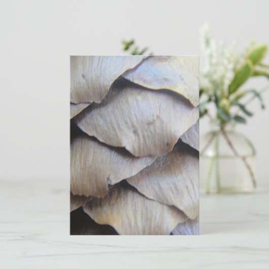 Bruin kegelvormig patroon (Staand voorkant)