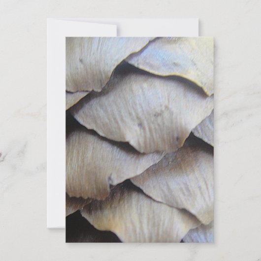 Bruin kegelvormig patroon (Voorkant)