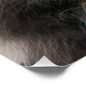 Bruin Koe Poster (Hoek)