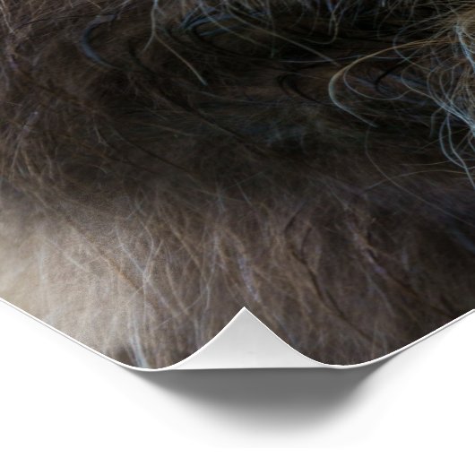 Bruin Koe Poster (Hoek)