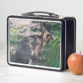 Bruin Konijn, Rust in Natuur (In situ)