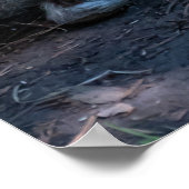 Bruin Konijn, Rust in Natuur Poster (Hoek)