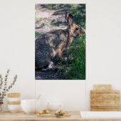 Bruin Konijn, Rust in Natuur Poster (Keuken)