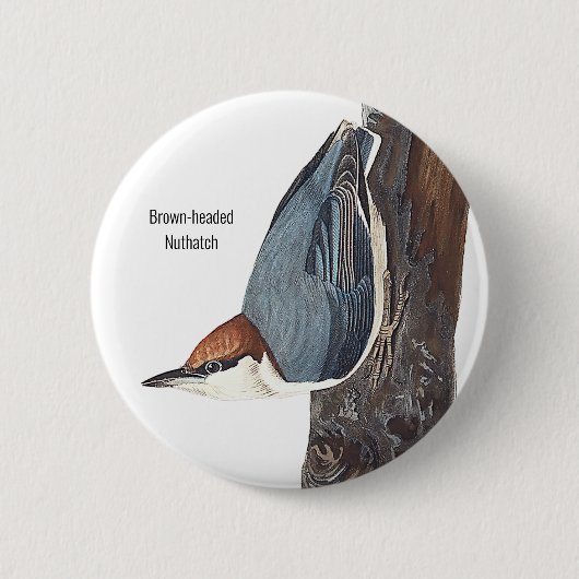 Bruin-kop Nuthatch, Audubon, Birders Bird Draag, Ronde Button 5,7 Cm (Voorkant)