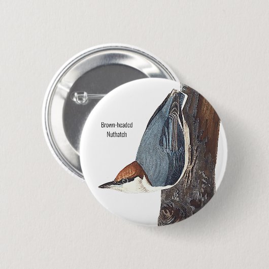 Bruin-kop Nuthatch, Audubon, Birders Bird Draag, Ronde Button 5,7 Cm (Voorkant /achterkant)