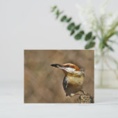 Bruin-kop Nuthatch Briefkaart (Staand voorkant)